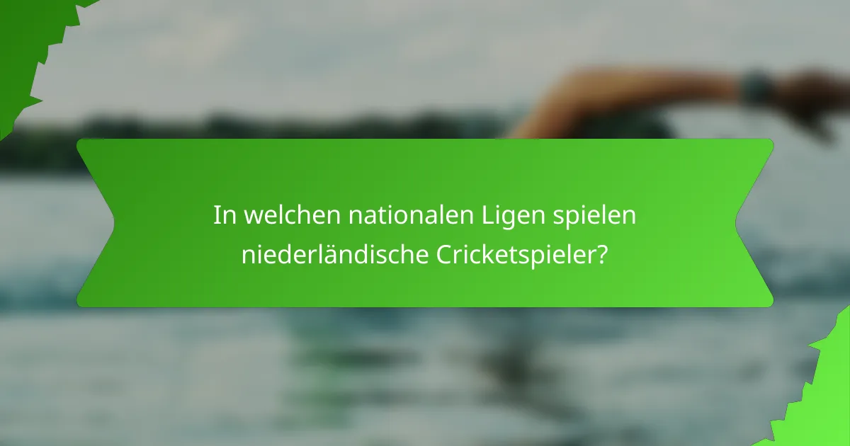 In welchen nationalen Ligen spielen niederländische Cricketspieler?
