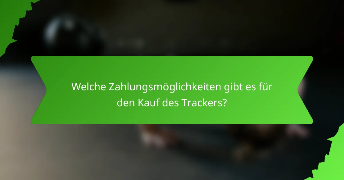 Welche Zahlungsmöglichkeiten gibt es für den Kauf des Trackers?